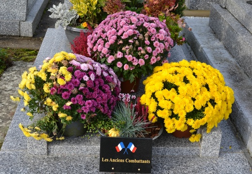 Pose d'une plaque en honneur d'un ancien combattant