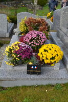 Pose d'une plaque en honneur d'un ancien combattant